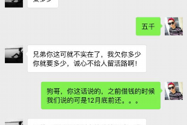 嘉鱼债务清欠服务